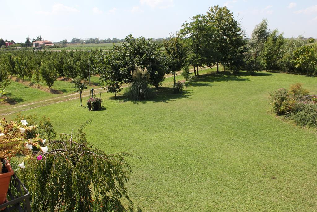 Agriturismo Corte Carezzabella San Martino di Venezze Dış mekan fotoğraf