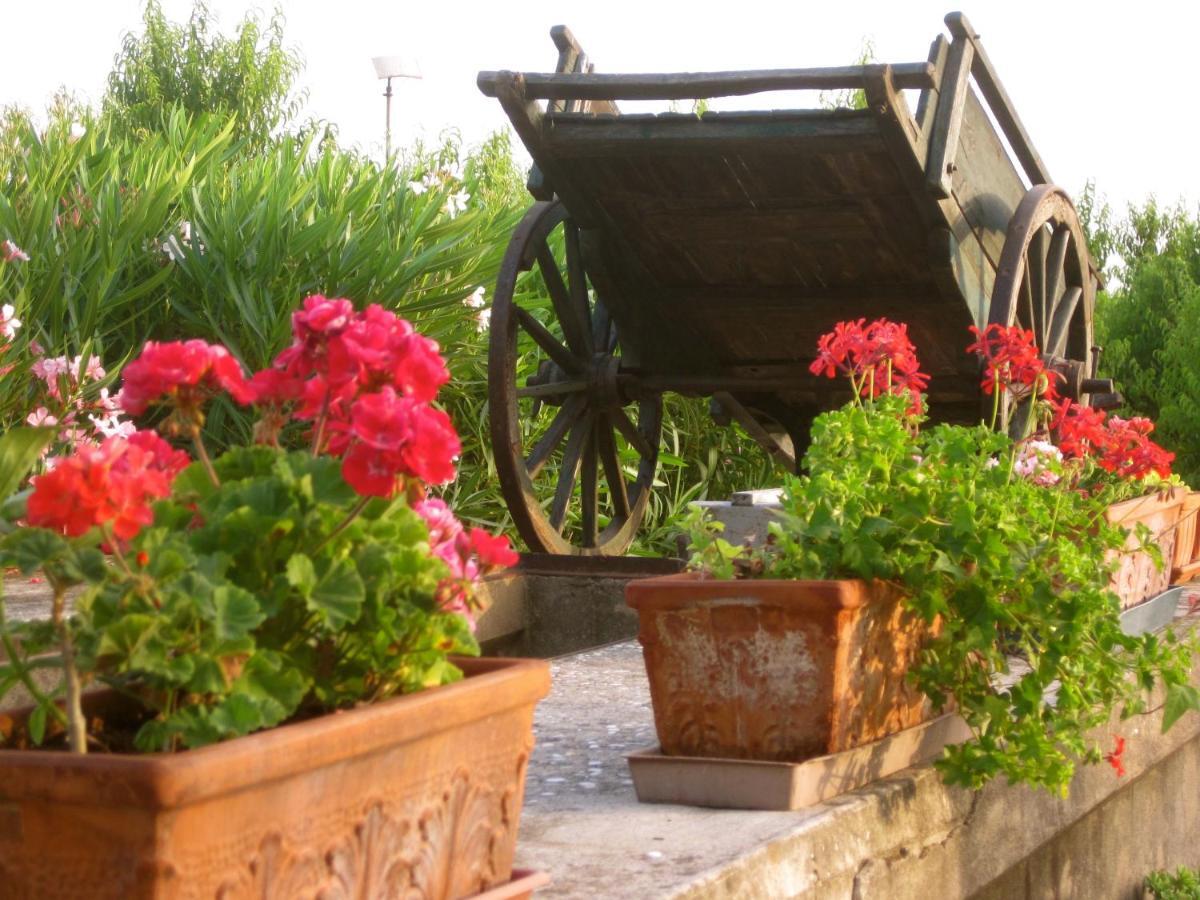 Agriturismo Corte Carezzabella San Martino di Venezze Dış mekan fotoğraf