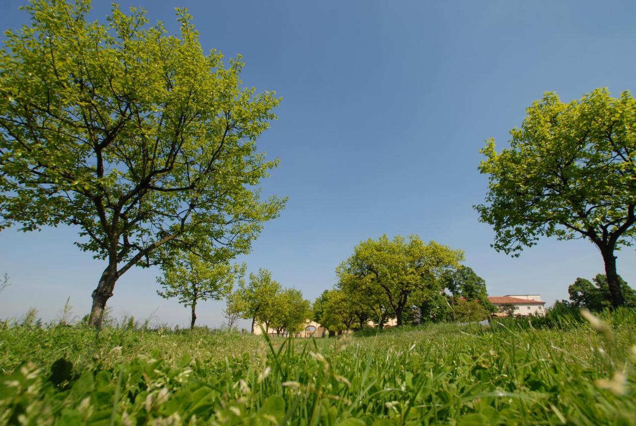 Agriturismo Corte Carezzabella San Martino di Venezze Dış mekan fotoğraf